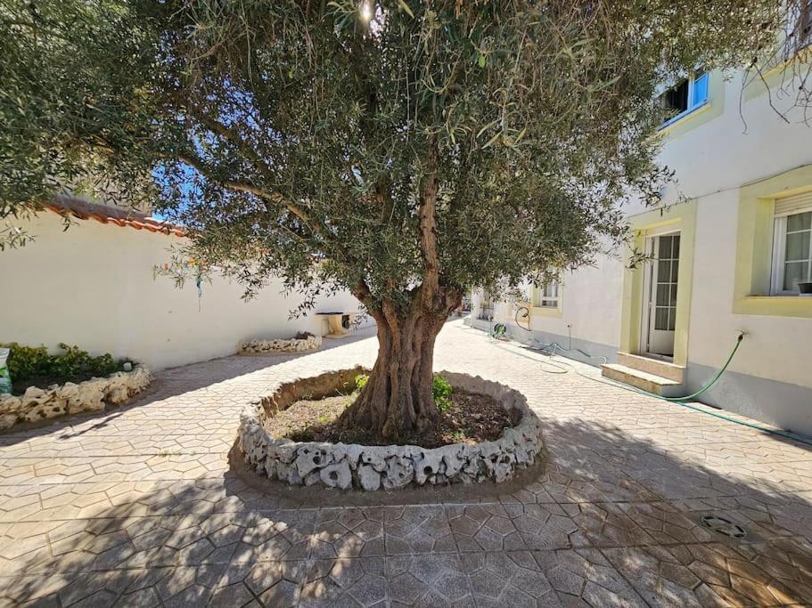 La Casa Del Arbol Vila Fuentiduena de Tajo Exterior foto